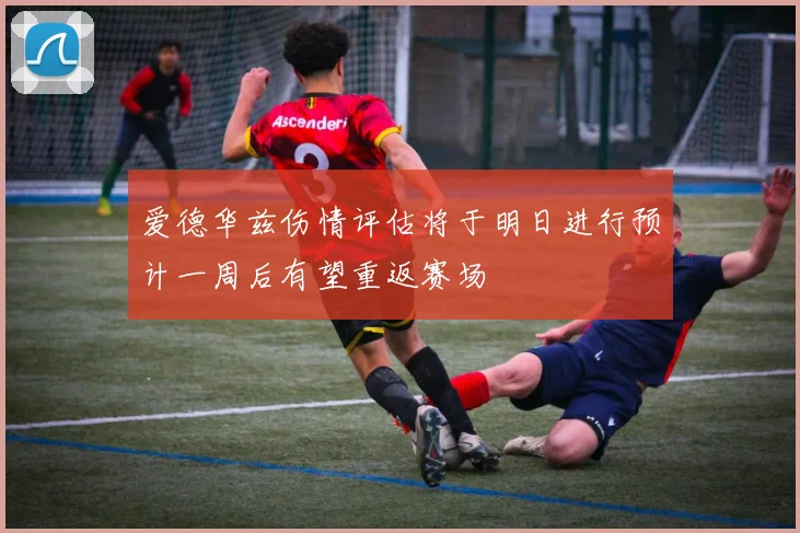 爱德华兹伤情评估将于明日进行预计一周后有望重返赛场