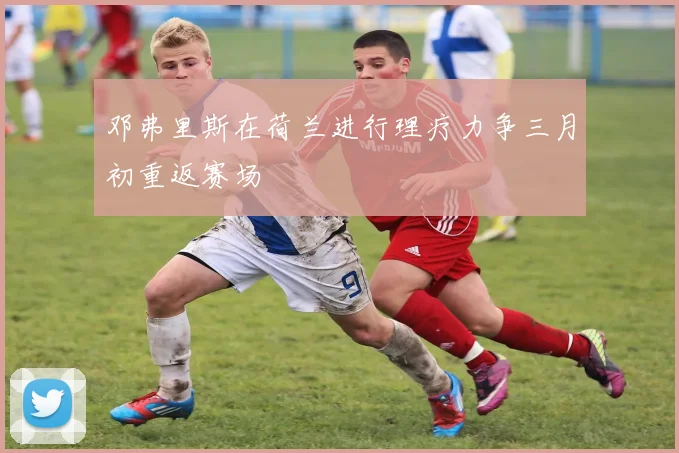 邓弗里斯在荷兰进行理疗力争三月初重返赛场