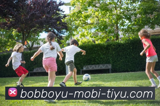 BOB体育平台生态图